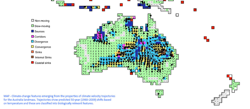Illustration for article titled These maps show where species will have to go as climate changes
